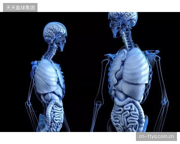 对摩擦剪切数据的实时分析，揭示了运动员技术选择与板底性能的真实关联